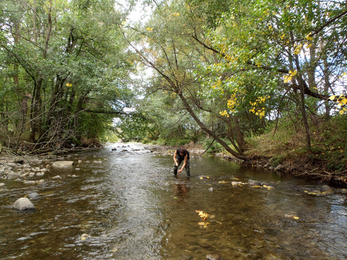Las depuradoras las grandes enemigas de los ecosistemas de los ríos