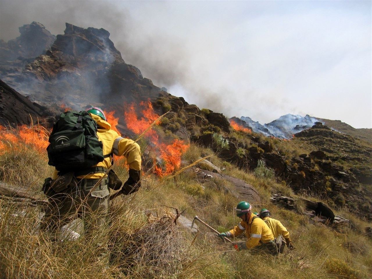 Restaurarán la zona afectada por el incendio de Torres (Jaén)