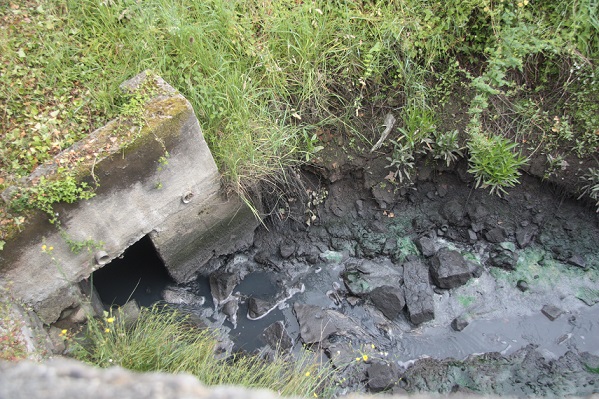 Asturias. No se deben permitir mas vertidos en la ría de Villaviciosa