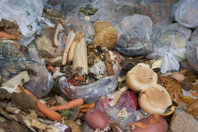 WWF joins forces with food service sector to launch International Food Waste Coalition