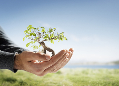 IUSC. Novedoso postgrado en Técnico Medioambiental