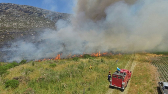 Tremendo incendio en la Sierra El Volcán