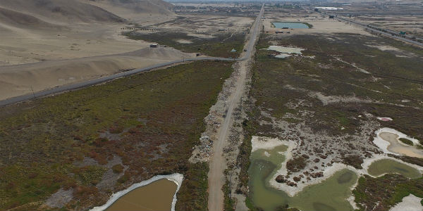 Perú. Alternativa de conservación para los Humedales de Puerto Viejo