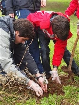 El Programa de Voluntariado Ambiental Plantabosques 2013 inicia una nueva fase para reforestar los montes extremeños