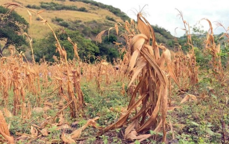 Estos son los países de América más vulnerables al calentamiento del planeta