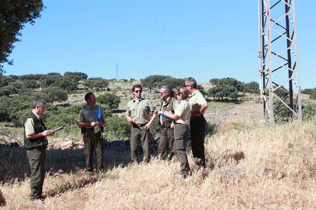 Agentes de medio ambiente andaluces se forman en la identificación de tendidos eléctricos peligrosos para las aves