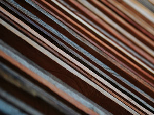 Brasil restringe el crédito a los madereros ilegales