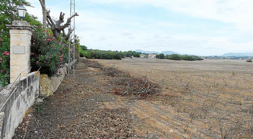Ecologistas en contra del parque fotovoltaico de Santa Cirga (Manacor)