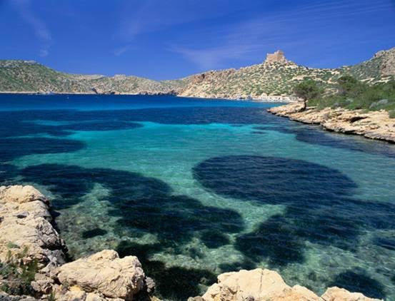 Se podría ampliar el Parque Nacional de Cabrera