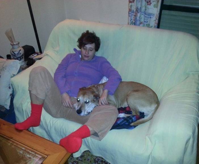 Exigen que se paralice el sacrificio del perro de la auxiliar infectada por ébola