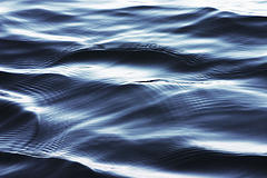 400 especies de plantas invaden las islas oceánicas y amenazan su biodiversidad