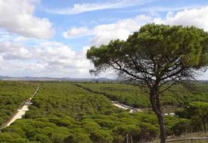 Chiclana: el crecimiento insostenible