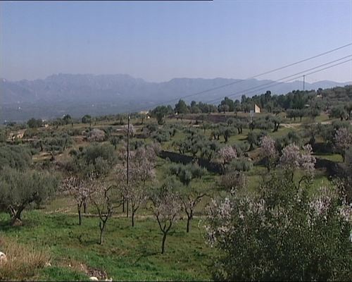 Rasquera un pueblo de Cataluña plantará marihuana para autoconsumo…