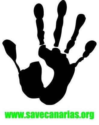 STOP al proyecto petrolífero en Canarias