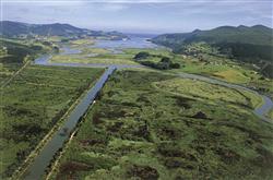 La Diputación de Bizkaia desarrolla un plan de recuperación del Águila pescadora en Urdaibai