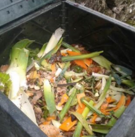 El compostaje doméstico podría llegar a la totalidad de los municipios de la provincia de Ourense