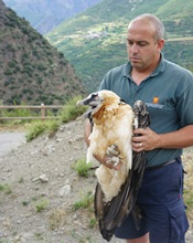 Presentación de los datos de los Centros de Fauna Salvaje de Cataluña