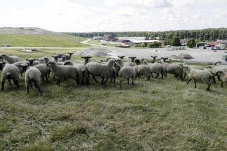 El nuevo modelo de Reciclaje de Europa