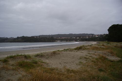 El Ministerio de Medio Ambiente y Medio Rural y Marino inicia las obras del "proyecto de recuperación ambiental de la masa arbolada del pinar de la playa de Cabanas" (A Coruña)