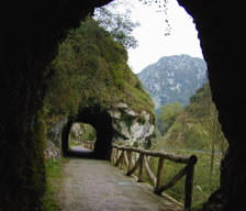 Publicado el plano explicativo del Camino Natural de la Senda del Oso
