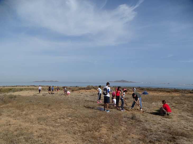 Murcia. ANSE planta 400 árboles en Peligro de Extinción en los arenales de Lo Poyo con la participación de los centros educativos de la zona
