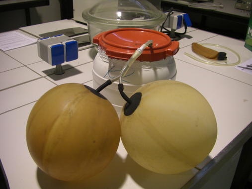 Qué sabes de la ‘biometanización’