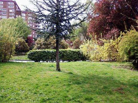 La jardinería debe contemplar criterios de sostenibilidad medioambiental