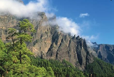 La altitud de Canarias aumenta el número de especies exclusivas