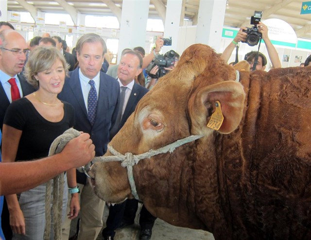 Salamaq 2017 arranca con la internacionalización y la innovación como bandera