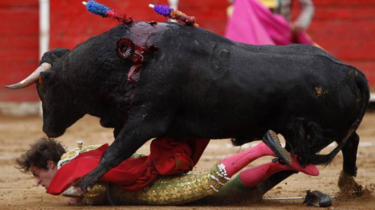 Las corridas de toros en horario infantil no son de recibo