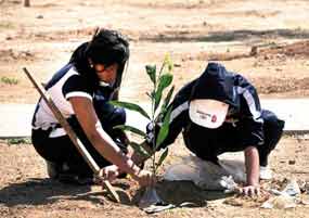 Bolivia aspira plantar 10 millones de árboles para 2015