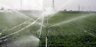 La campaña de riego concluye con un ahorro de 150 hectómetros cúbicos de agua