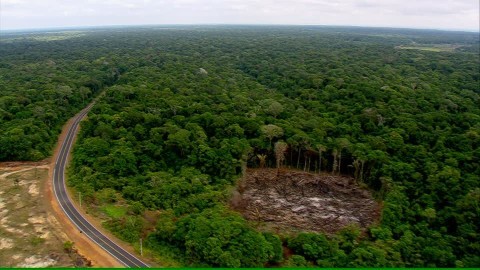 Noruega pierde la paciencia y recorta fondos para la protección de la Amazonia