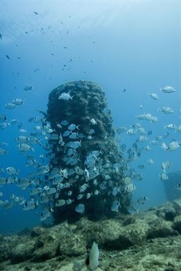 Torredembarra y Altafulla acogen dos parques de biotopos artificiales
