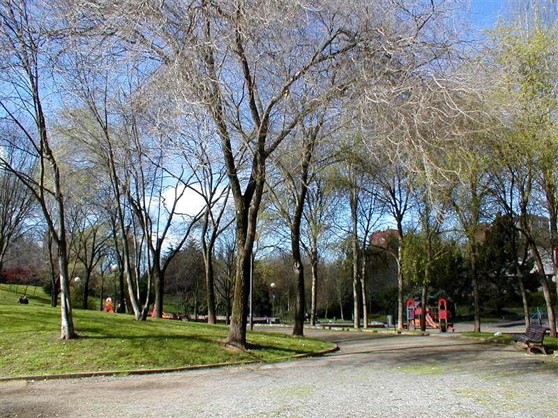 El Ayuntamiento finaliza la restauración de las formaciones vegetales del Parque de la Magdalena