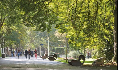 Vitoria-gasteiz: hacia una ciudad más habitable a través de un nuevo paradigma de movilidad sostenible