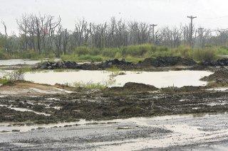 Desempeño ambiental de Panamá baja 15 puntos