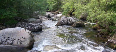 Juicio por el vertido de amoníaco en el río Besaya (Cantabria)