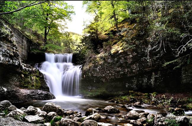 Arranca el programa Naturaleza sin barreras del Parque Sierra de Cebollera