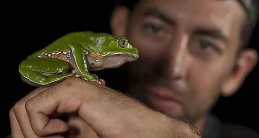 Encuentran más de 350 especies nuevas en la selva de Perú