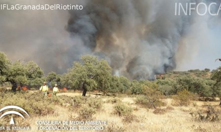 Extinguido el incendio en el paraje Isla Canela de Ayamonte