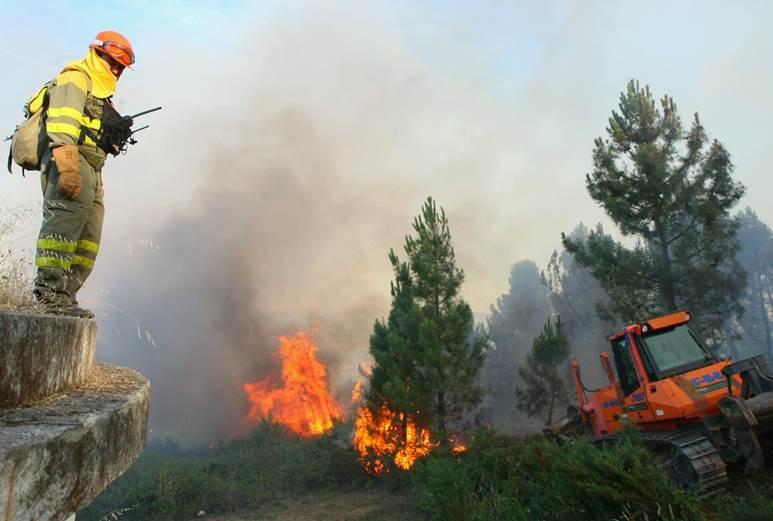 Medio Ambiente colabora con varias autonomías en la extinción de fuegos forestales