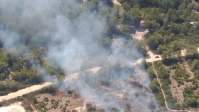 Extinguido un incendio forestal en Alcúdia tras quemar cerca de una hectárea de pinar