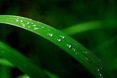 Indigenas y cientificos españoles llegan a un pacto para comprar el corazón del amazonas