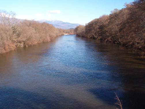 Castilla la Mancha. La CHT realiza dos actuaciones de recuperación ambiental en el río Tiétar para que recupere su curso natural