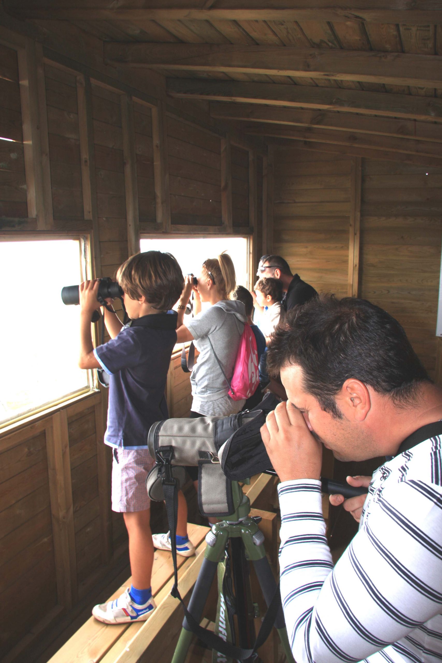 El Colectivo Azálvaro celebra el Día Internacional de los buitres