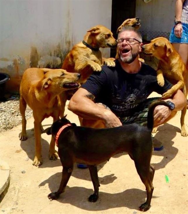 Quieres alimentar a 80 perros cada día (Mira el VIDEO)