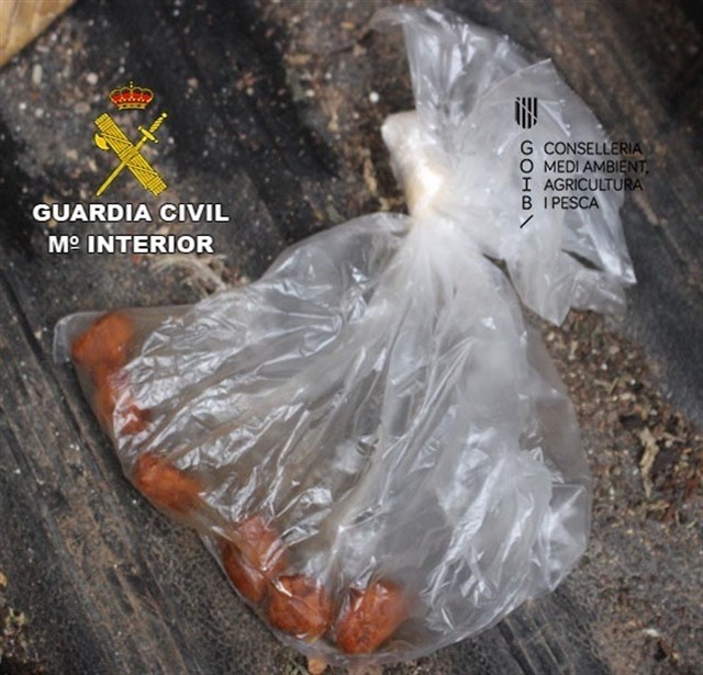 Investigan a un padre y su hijo en Baleares por supuestamente colocar cebos envenenados para matar aves rapaces