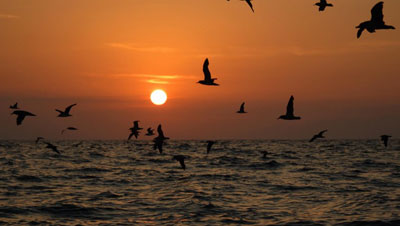 Las prospecciones petrolíferas serían una ‘grave amenaza’ para la Red Natura 2000