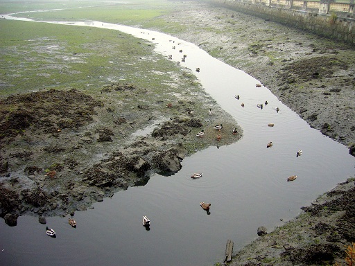 Proyecto para la retirada de lodos en la ría de O Burgo